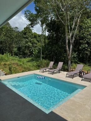 Casa Rio Tortuga